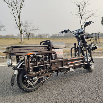 70 किमी / घंटा हाई स्पीड इलेक्ट्रिक कार्गो मोटरसाइकिल 1500W 2000W 3000W