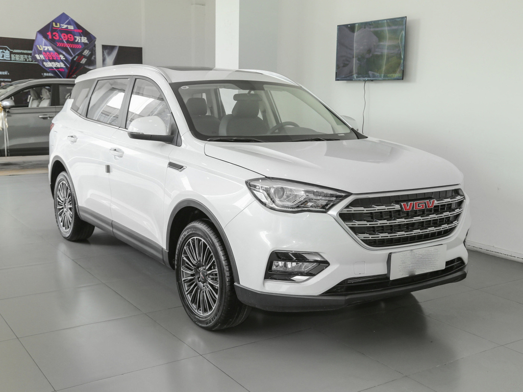 फ्यूल टैंक 55L व्हाइट 7 सीटर कार SINOTRUK VGV यूज्ड मैनुअल SUV 175 Km/H